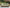 Serena Shores - Sofa With Cushion - Beige / Green