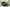 Reveon Lakes - Chaise - Olive