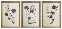 Huddwick - Wall Art Set (Set of 3) - Linen / Black