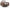 Dolan Creek - Swivel Lounge With Cushion - Gray / Brown