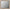 Oliandon - Bedroom Mirror - Light Brown